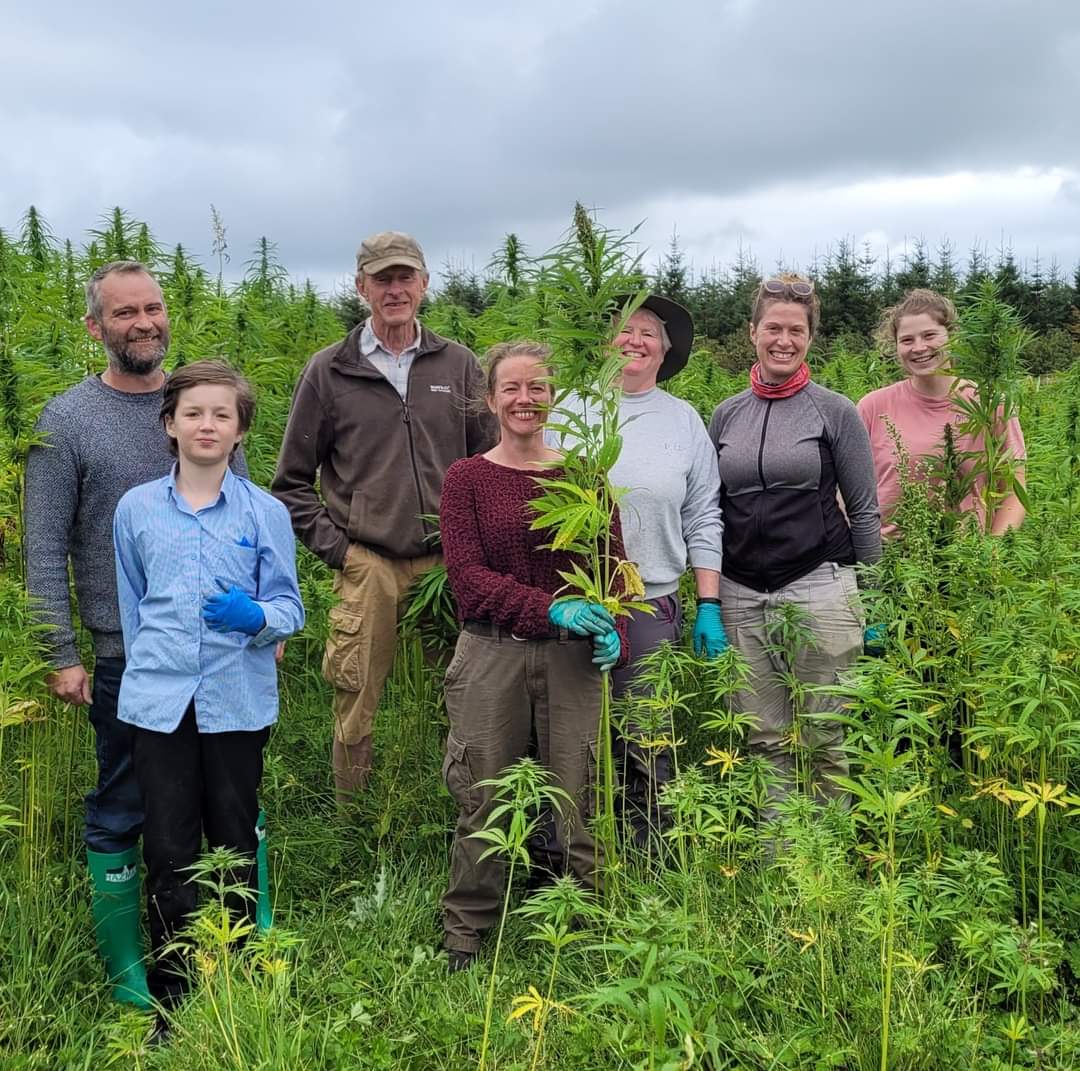 Hemp4Soil tweet media