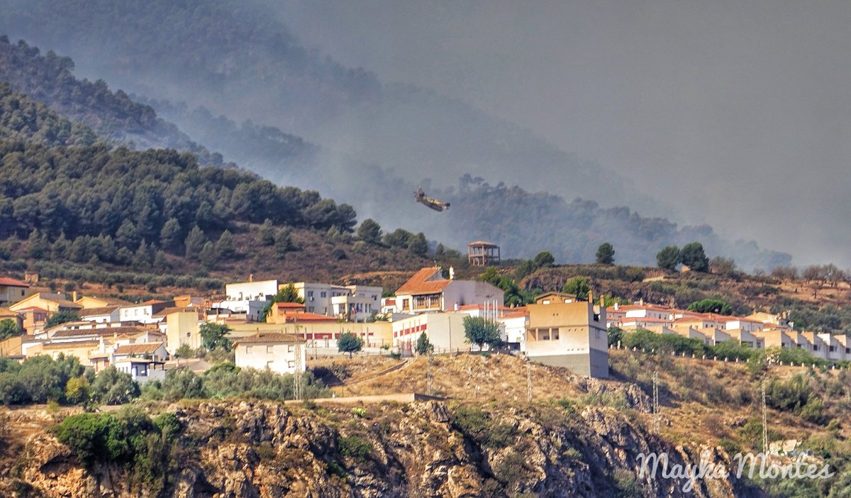 Mayka28's tweet photo. #IFLosGuajares, imágenes de hoy 11/09/22 desde el pantano de #Beznar Incesante trabajo de @Plan_INFOCA y #43grupo más voluntarios de #ElPinar .  Parte 2 https://t.co/wc7eVO26IJ