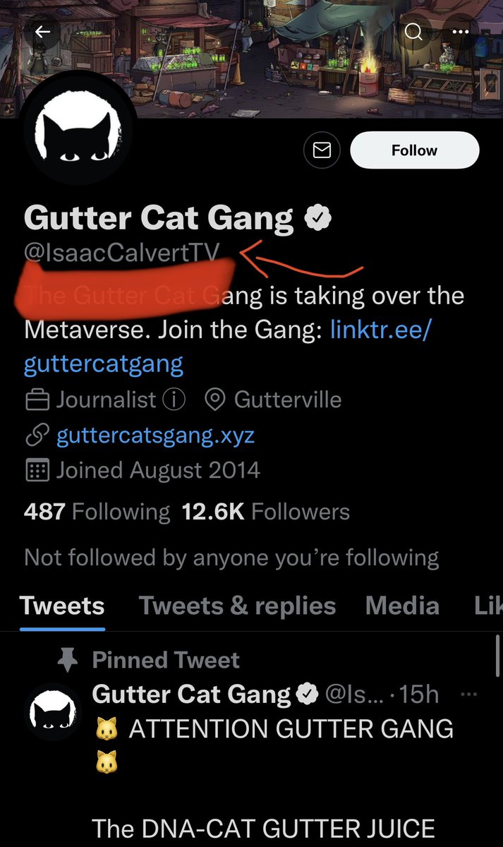 Gang, please be careful of scams like @IsaacCalvertTV. 

Do not interact and always check to make sure the @ is correct. <a href="/GutterCatGang/">Gutter Cat Gang</a> is the only correct handle. Verified or not, always triple check.

Please share.