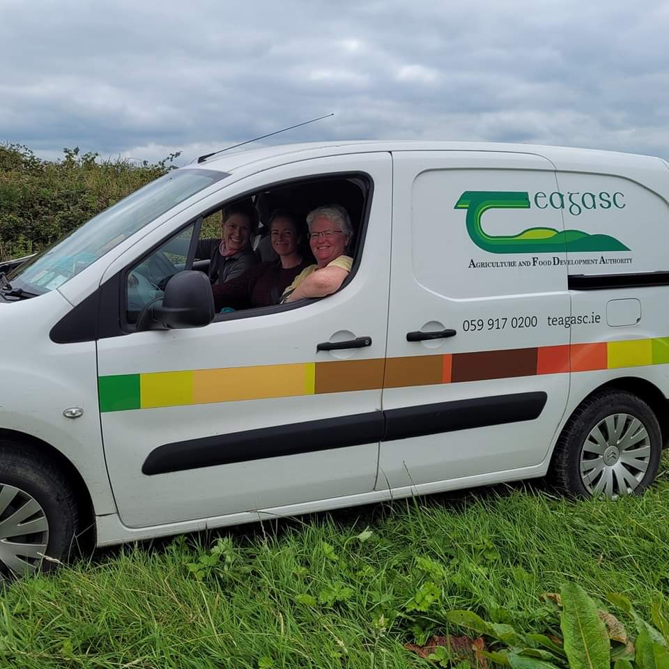 Hemp4Soil tweet media