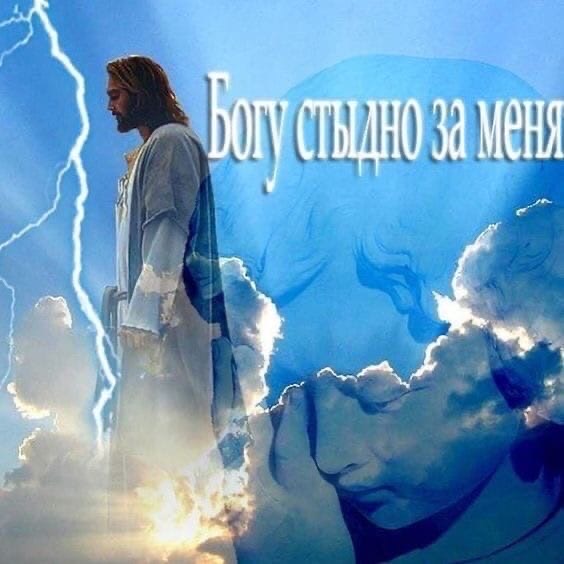 morrelev's tweet image. 