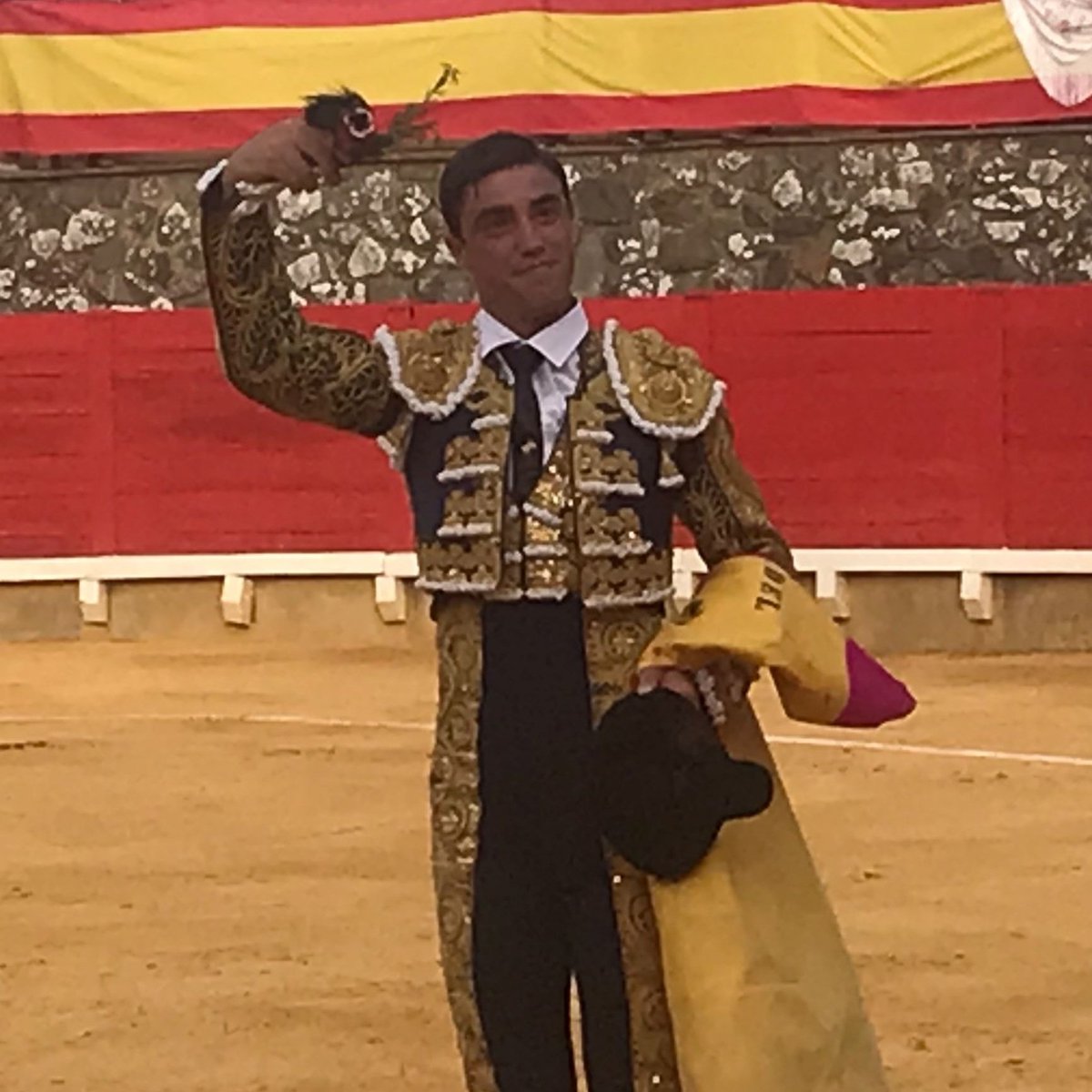 ✨OREJA en Cortegana✨
Alejandro Gardel, al natural con oficio y firmeza, ante novillos de Murteira Grave en la localidad onubense. 👏🏼