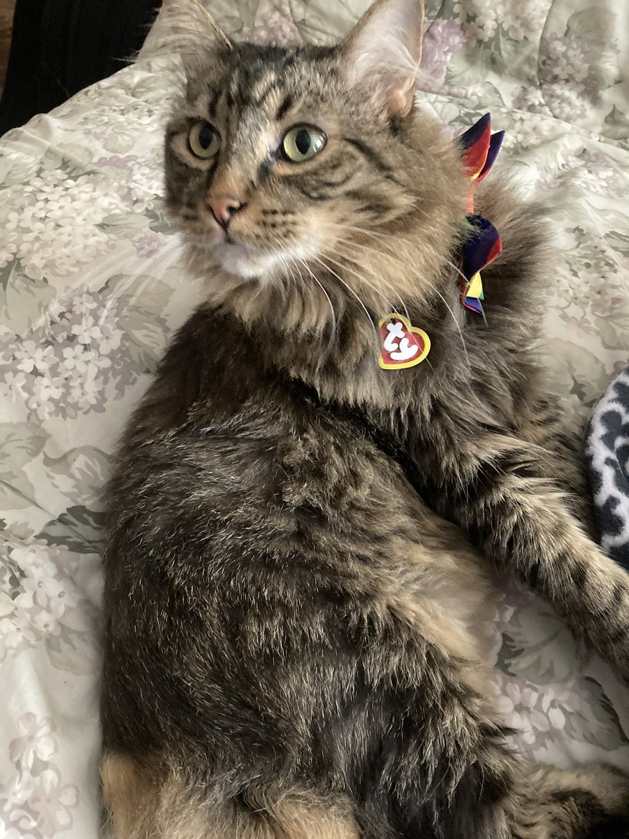 da smoochers tweet media