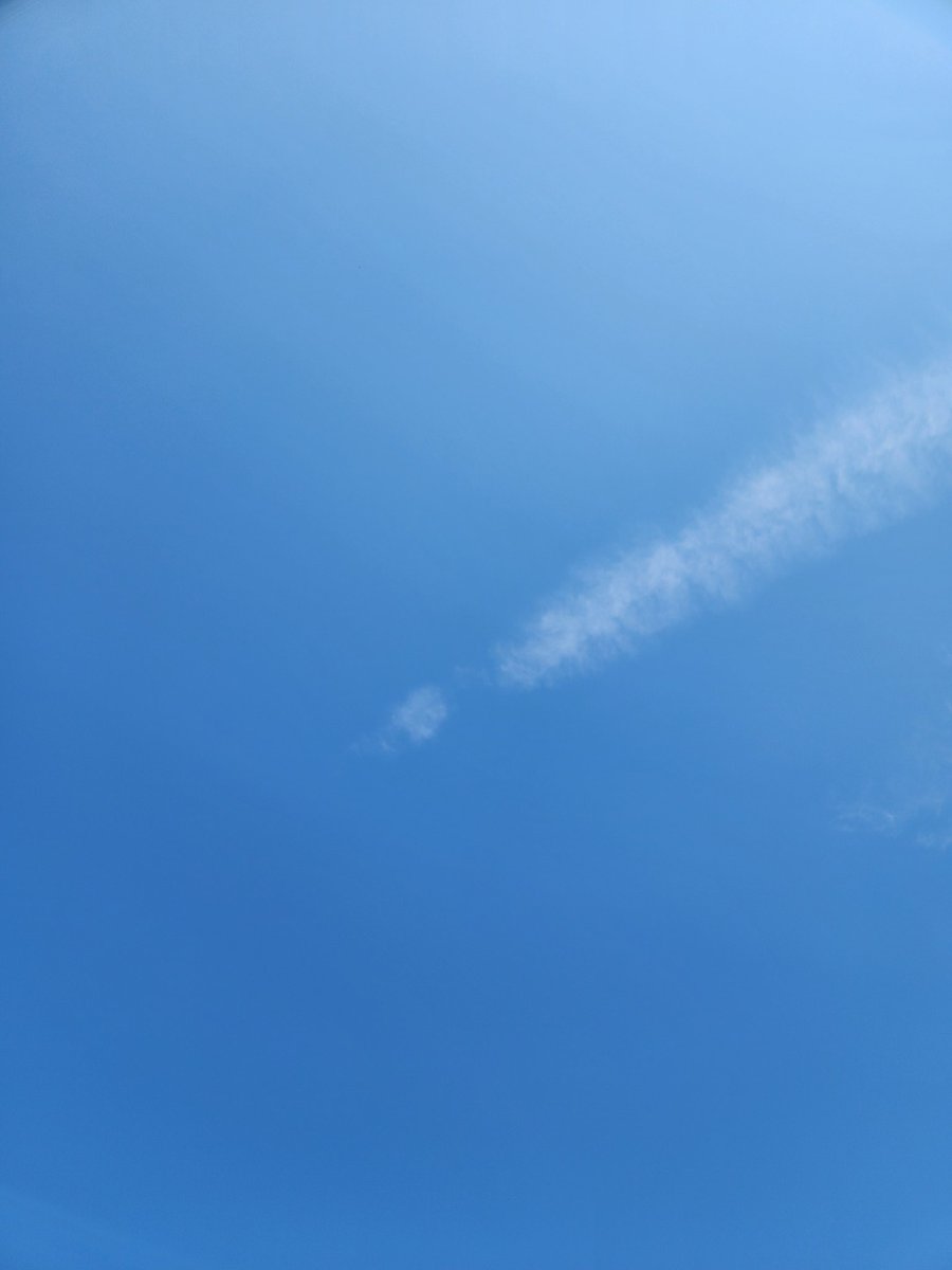 dragonflyhopes's tweet photo. #RememberTheSky https://t.co/4NT4SeZKVg