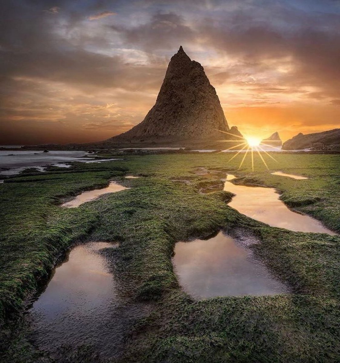 Good morning ☀️🌿☀️
 Wonderful new week 🏖️🦋