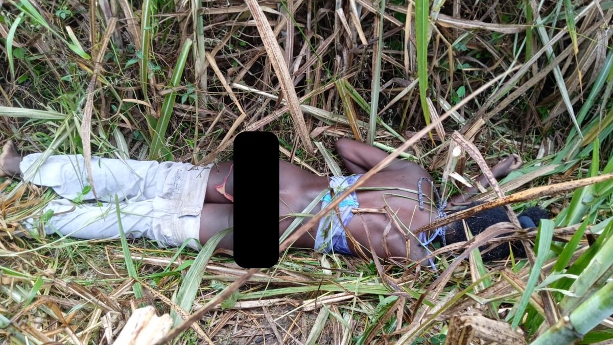 MiguelPoloP's tweet photo. ¿Esta es su reivindicación de los Afro @FranciaMarquezM? Lider negra fue masacrada por invasores indígenas q le pretendían quitar su territorio. Cómo representante de los negros le exijo @petrogustavo q haga respetar la vida y la propiedad de mi pueblo. Detenga el baño de sangre https://t.co/Pn6v5Fn1V9