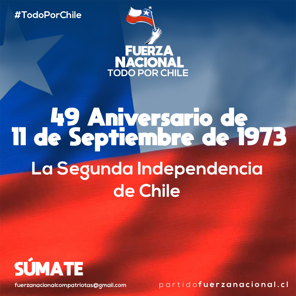 Fuerza Nacional Chile tweet media