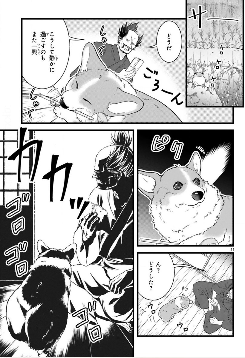 雨の日の愛犬との過ごし方② #殿と犬 #コーギー #コーギーのいる暮らし