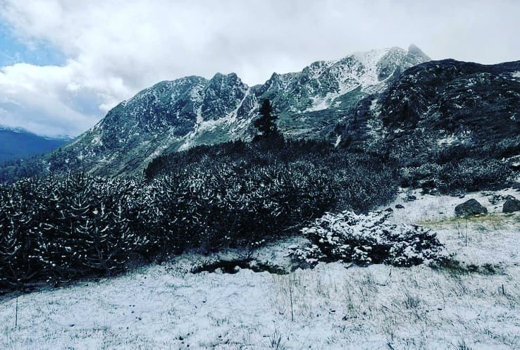 GOHunedoara's tweet photo. 🏔️ Prima zăpadă, sus la lacul Bucura în Parcul Național Retezat National Park, la 2.040 de metri altitudine. 🌊❄️Foto Lucian Essler
...
#laculbucura #iarna #primazapada #laculbucura #muntiiretezat #parculnationalretezat #parcurinationale #unicate #plimbareinnatura https://t.co/z5TJa1UzLD
