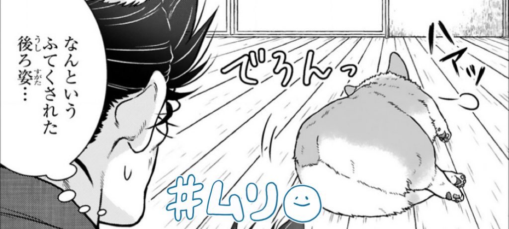 雨の日回のこのおしり姿、とてもとてもかわいい🥳(犬ってため息つくんだな〜)  #殿と犬