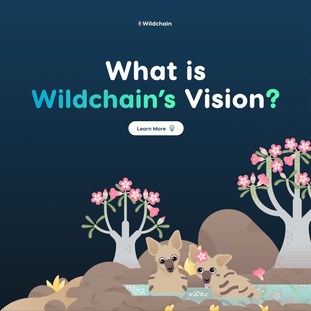 wildchainio's tweet photo. 1/4 🧵

Have you been wondering what our vision is here at Wildchain? 💭

Read below 👇 to find out what our vision, goal, and purpose is. 

#wildchain #wildlife #wildlifeconservation #endangeredspecies https://t.co/mRceLQBlHs