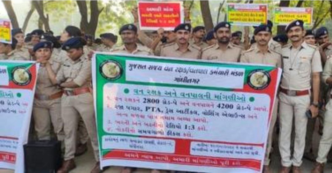 #વન_રક્ષકો દિવસ રાત ચોવિસ કલાક ડ્યૂટી પર હોય છે, વાર તહેવારની રજા હોતી નથી કે વેકેશન આપવામાં આવતું નથી ત્યારે વન રક્ષકોએ પણ #પોલીસ ખાતાની જેમ રજાના દિવસે નોકરી કરાવવામાં આવે છે તે સમયગાળાનો રજા પગાર આપવા અંગેની જોગવાઈ કરવા માંગણી.
2/3
વનરક્ષકોએ બઢતીના રેસિયામાં 1:3 મુજબ સુધારો
