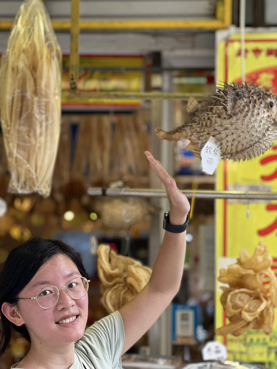 Has anyone seen dried balloonfish before? 🐡🐡🐡🐡🐡🐡