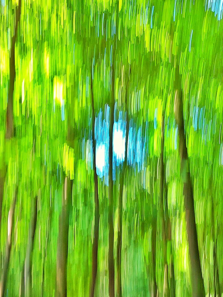 Rilkes Gärtner tweet media