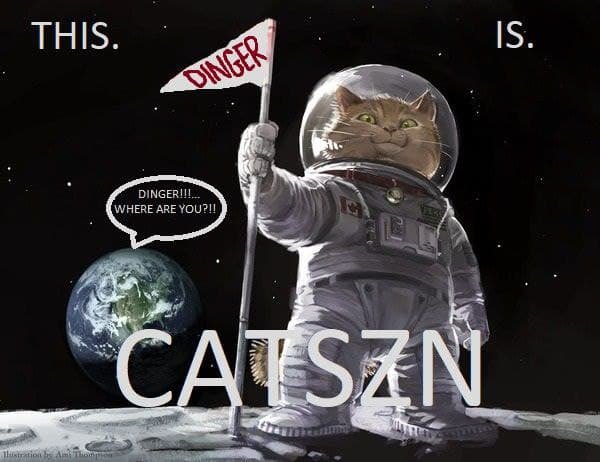 cryptkeeeperr's tweet photo. @elonmusk Look closely and you can see Schro - $DINGER https://t.co/8pzcpy0Y2P