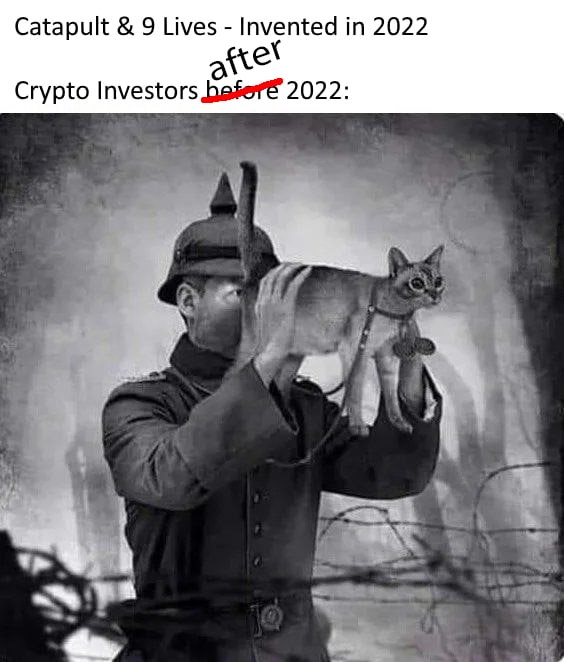 Johnny_J_P's tweet photo. @cryptkeeeperr @elonmusk That's definitely what I see through my telescope.

 Schro- $dinger is on the moon. https://t.co/x9rEvkzTjX