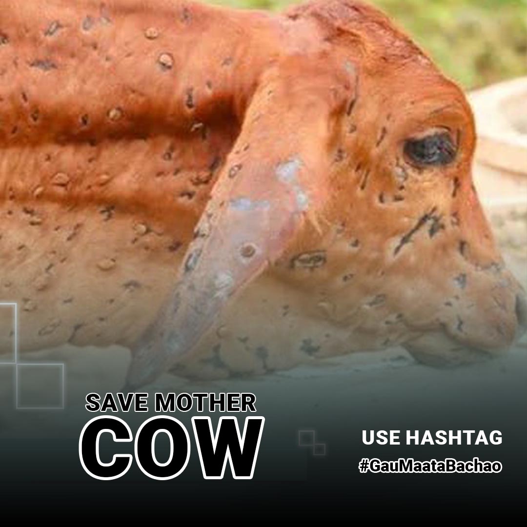 #GauMaataBachao