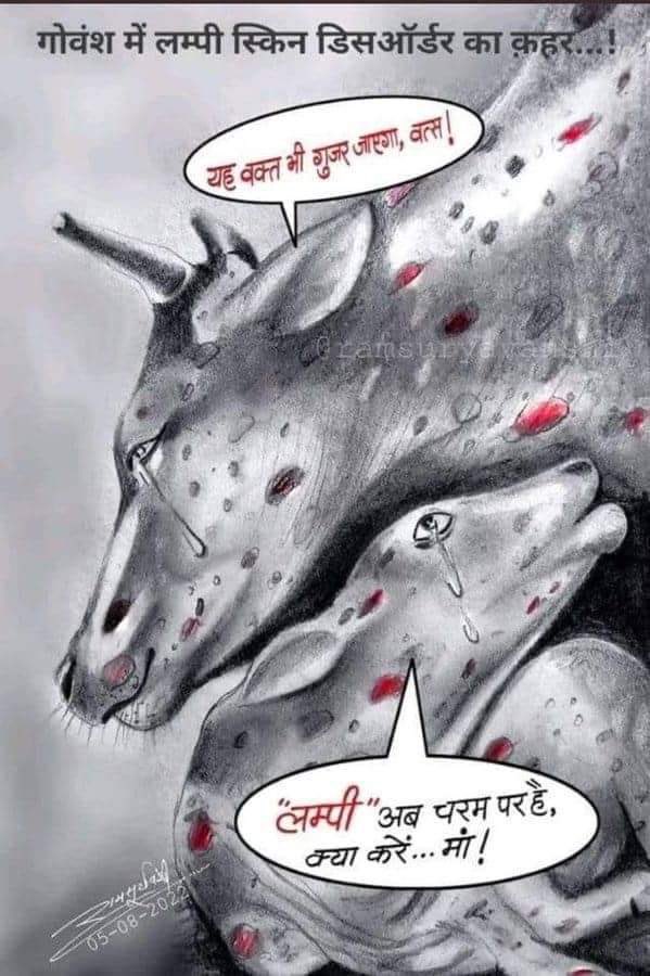 .  <a href="/narendramodi/">Narendra Modi</a> and <a href="/ashokgehlot51/">Ashok Gehlot</a> ji we pleaded for your immediate attention. Our cows are dying every day due to lumpi virus,concrete decisions should be taken for their treatment
We consider cows as mothers, but we have left them to die in excruciating pain. #GauMaataBachao