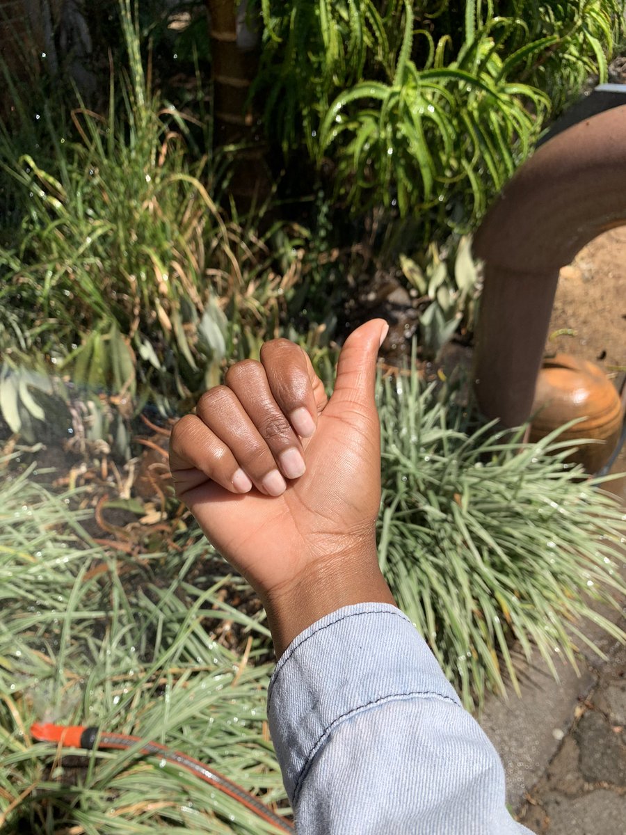 daniecam17's tweet photo. Good morning 🇿🇼❤️. This Monday morning with lazer focus, renewed energy and fulfilled spirit. Lets try again. https://t.co/FGA9UySiWc
