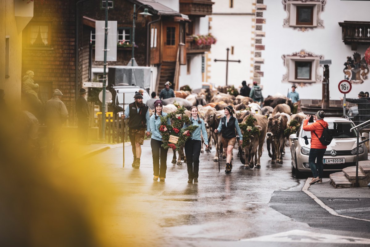 StantonReview's tweet photo. 🐄🐑 Wenn das Vieh nach rund vier Monaten bei den traditionellen Almabtrieben in die Dörfer zurückkehrt, ist das jedes Mal ein Spektakel, das Gäste und Einheimische gemeinsam feiern.
😍 Einfach ein tolles Erlebnis ...
#pettneuamarlberg
📷 P.Bätz #stanzertal #arlberg #almabtrieb https://t.co/Z5xTiIF3mA