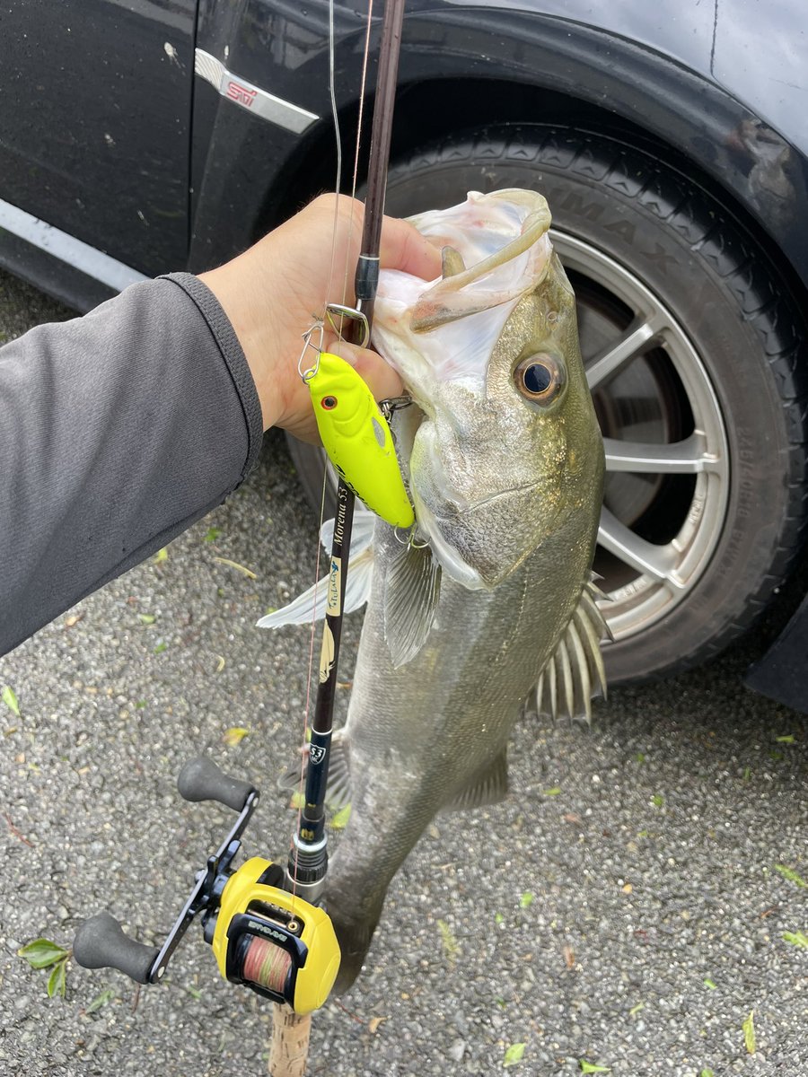 namatamanama's tweet photo. ちょっと本屋開いてるかなぁって思って。☺️
#鱸通信
#seabass
#tulalajp
#bombada
#morena53
#roughstyle
#tupper110 https://t.co/GxHsgydUJc