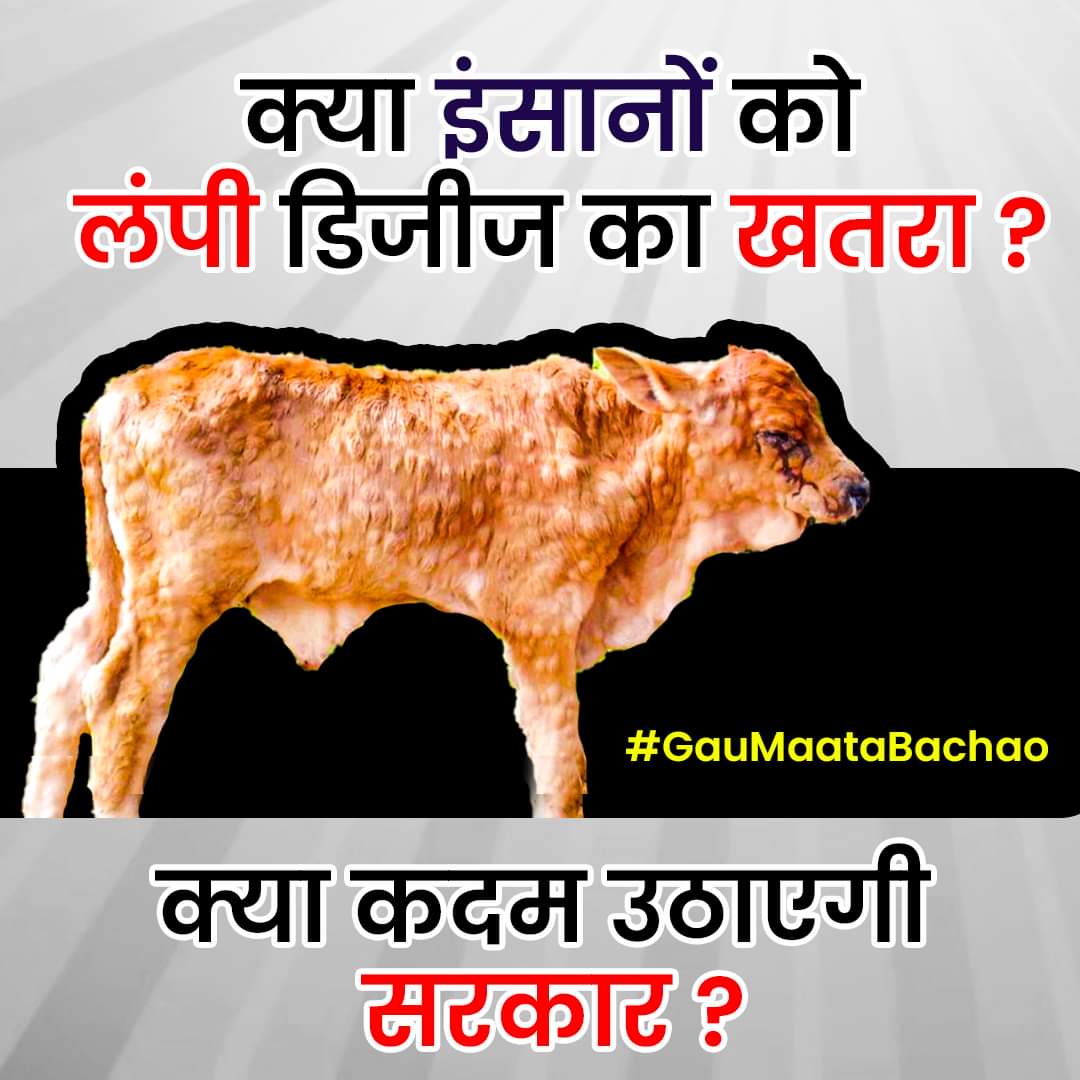 प्रिय <a href="/narendramodi/">Narendra Modi</a> जी गौ माता में लंपी वायरल फैल चुका है, बड़ी संख्या में हमने गौधन को खो दिया है। हमारा देश अभी भी नही संभला तो बहुत भयानक परिणाम हो सकते हैं इसलिए आपसे निवेदन है कि जल्द ही इस मामले में कठोर कदम उठाए धन्यवाद
<a href="/AmitShah/">Amit Shah</a> <a href="/PMOIndia/">PMO India</a>
#GauMaataBachao