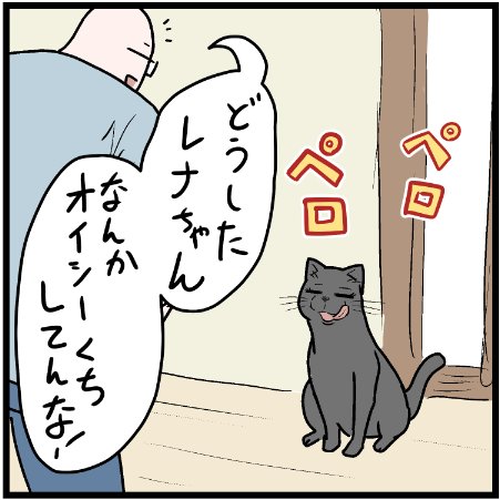 飼い主が知らないほうが良いこともある・・・
 #ニャンコ #まんが #猫 #猫あるある #猫漫画 #ペット #飼い主 #エッセイ漫画 #キャット #猫のいる暮らし #4コマ 