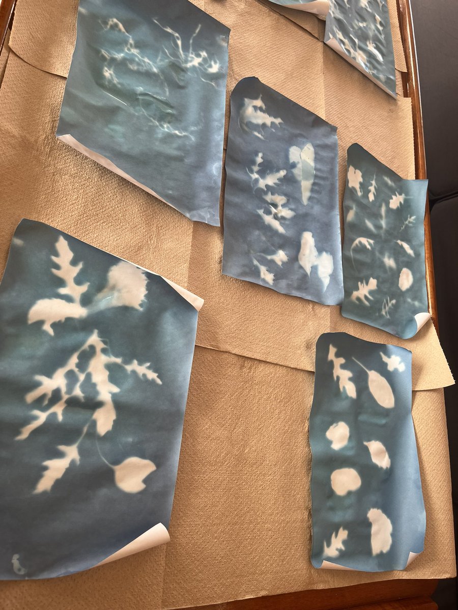 EVNautilus's tweet photo. In honor of 2022 being the “Year of the Limu" in #Hawaii,   Shark Team members @jejebah and @MrKsTweets taught the #CorpsofExploration how to create cyanotype #photography. https://t.co/nA0p5yxNlI