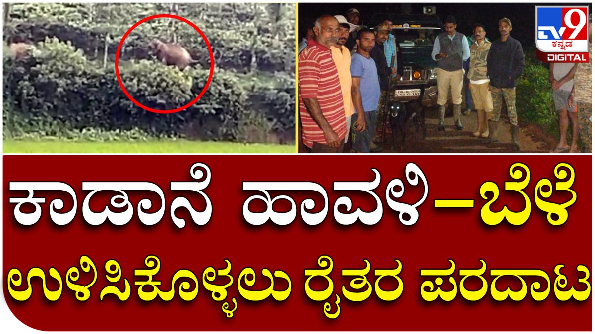 tv9kannada's tweet photo. Elephant Trouble: ಮೈಕ್ ಮೂಲಕ ಮನೆಯಿಂದ ಹೊರಗೆ ಬಾರದಂತೆ ಸ್ಥಳೀಯರಿಗೆ ಅರಣ್ಯ ಇಲಾಖೆ ಸೂಚನೆ | Tv9 Kannada
Video Link►https://t.co/FlYkLAe7Yd
#Tv9Kannada #Elephant #Troubled #ForestDept #Formers #People #Trying #Protect #Formland #LocalitesinFear #Video #Viral https://t.co/E4tsodFfk5
