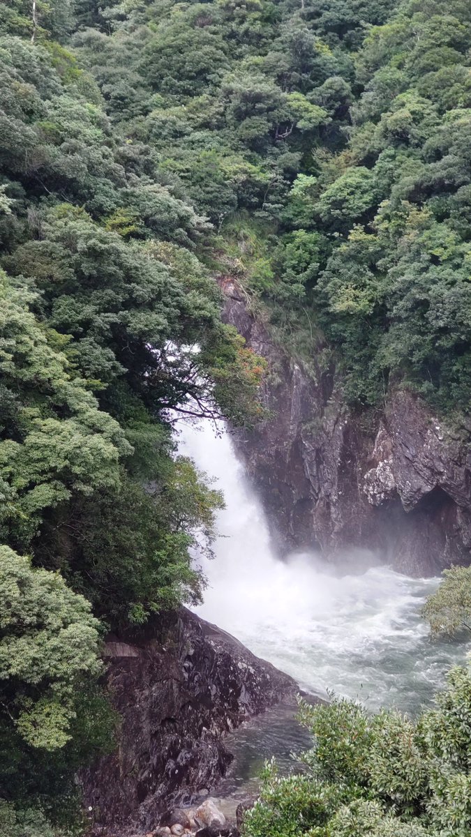 PinkpantherMeg's tweet photo. ちなみに近くにある龍神の滝はこんな感じでした。
 #屋久島
 #龍神の滝
 #台風14号 https://t.co/3n0hKe9XH6