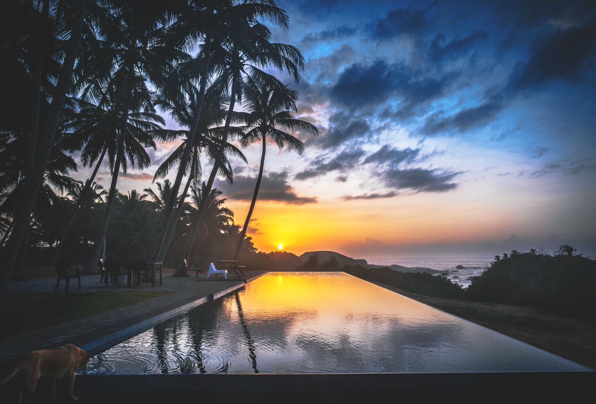 S_MorningLight's tweet photo. SUNRISER
#OceanCottage, #Kalametiya. Sep 2022. More@ https://t.co/91KopPeKqr
#Canon #R6 &amp; #RF24_105 courtesy @Canon_SL.
#landscapephotography #travelphotography #beautifuldestinations #beautifulproperties #destination_SriLanka #dogsofsrilanka #goldenhour  #SriLanka #canonsrilanka https://t.co/lChBGV1dcY