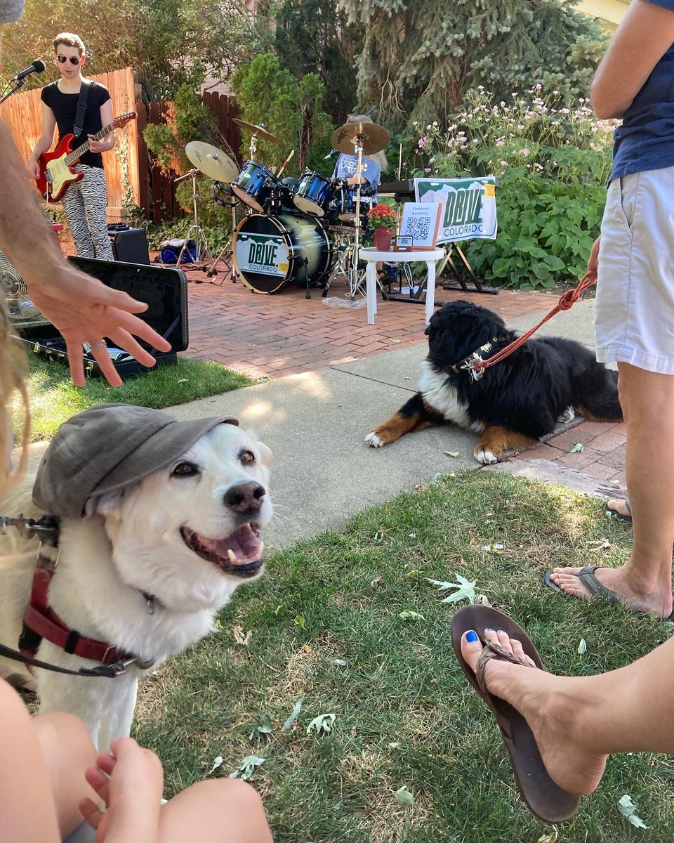 BrodyGraduate's tweet photo. Rocking out with my buddy Stanley and our people to my local #Cars cover band at #porchfest 2022! 🎸🥁🎶 🐕 #bernesemountaindog #RescueDogs https://t.co/DldDQefRXc