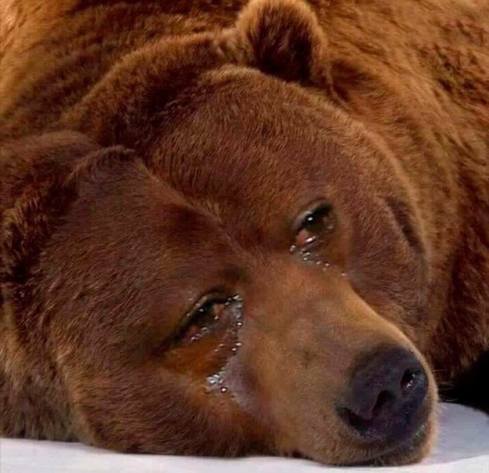 Pickswise tweet media