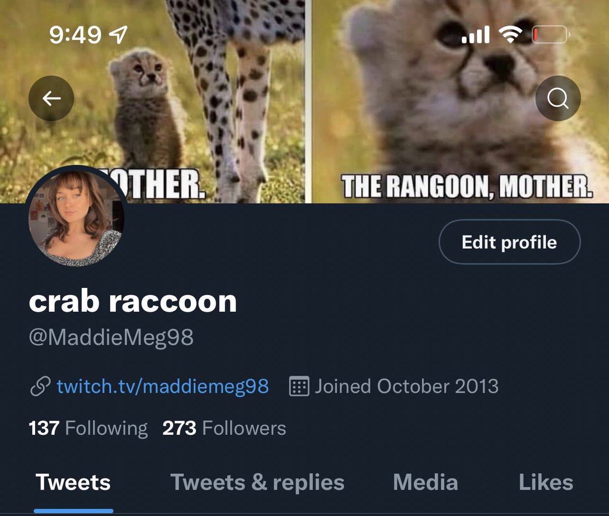 MaddieMeg98's tweet photo. It was long and well lived. RIP crab raccoon. Hello bread hole https://t.co/6B16KxY8XX