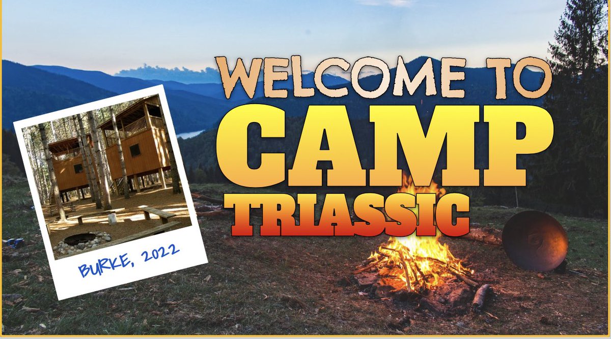 Amanda Gingue tweet media