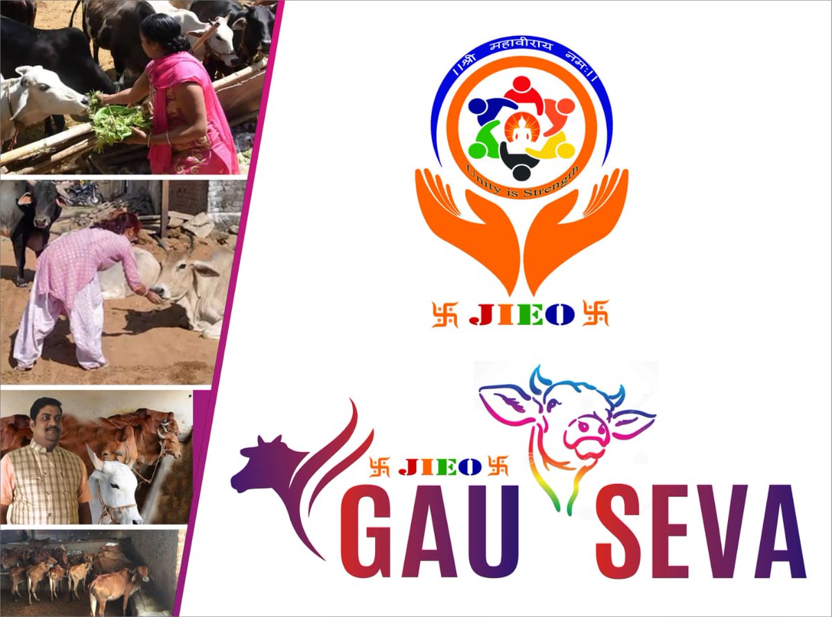 Jieo Jain International Ekta Organisation (@jieoekta) on Twitter photo 