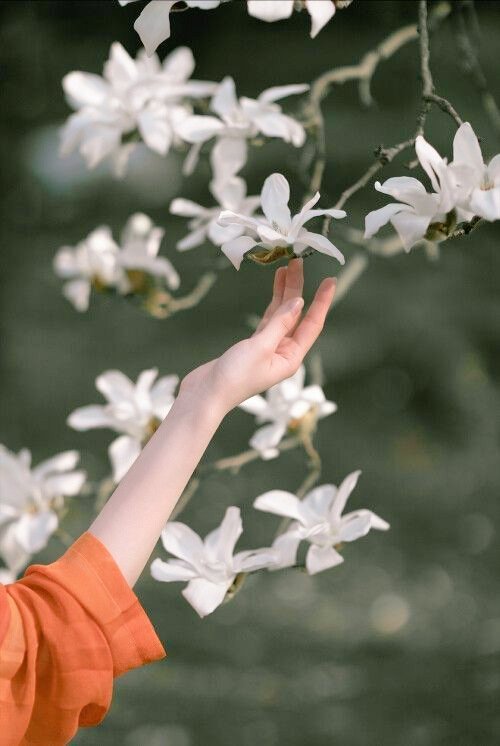 9mt_al7yat's tweet image. يحدث أن تجف أغصان الكلام ..
فتذروه رياح الصمت 🤍
#حياة