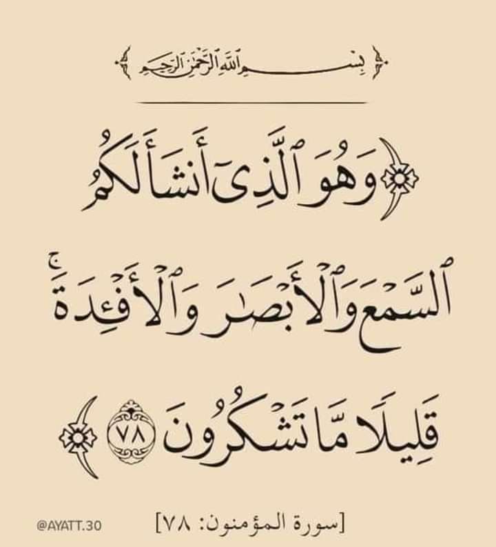 Us8CRLb4AopttCB's tweet photo. #إن_قرآن_الفجر_كآن_مشهودا 🙏🙏🙏👇 https://t.co/2LHfdLnKrp