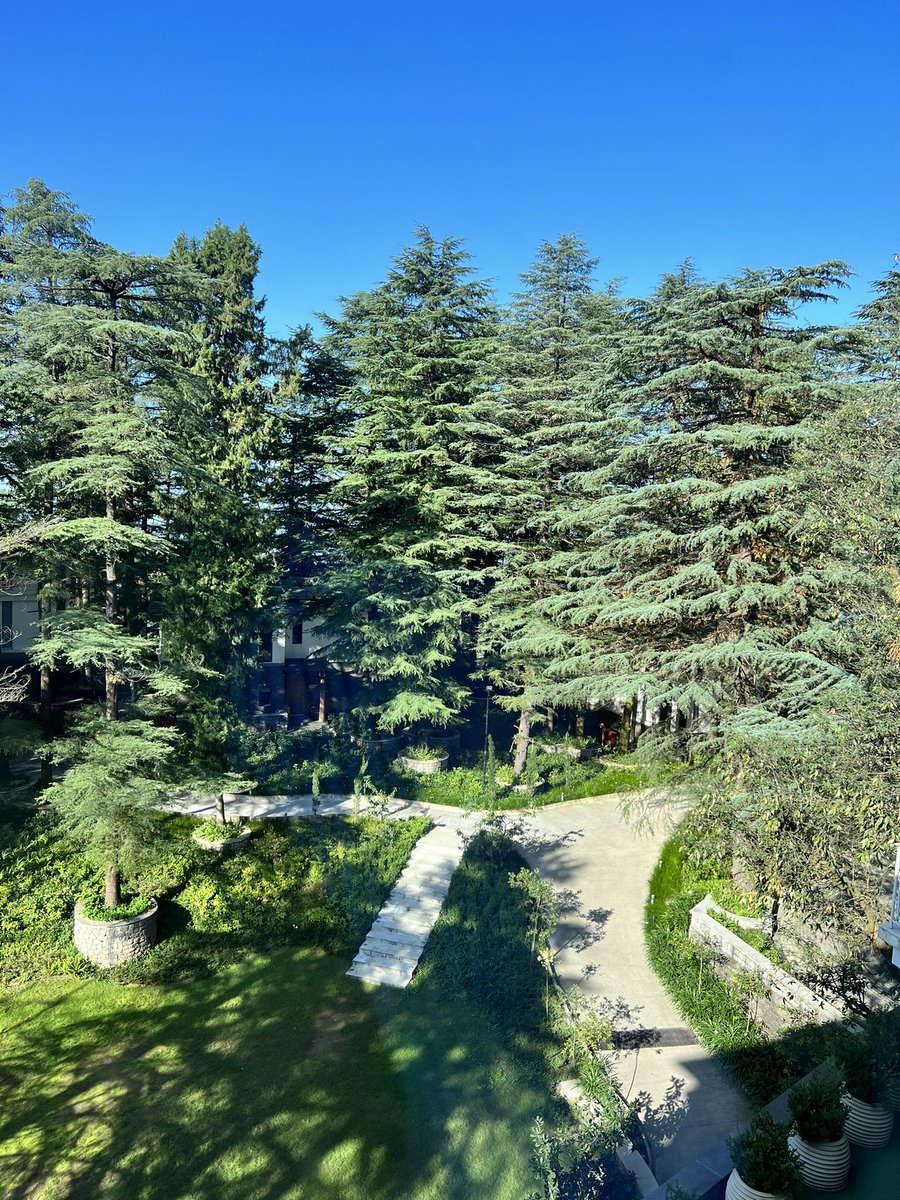 sanjayjavin's tweet photo. happy to be in mcleodganj after 32 years.the joy of seeing the blueness of the sky,smell of the pine trees ,steep winding roads through the jungles and the feel of fresh scented cold air against the face is unparalleled.#HimachalPradesh #himalayanday https://t.co/H3kaVrqBMz
