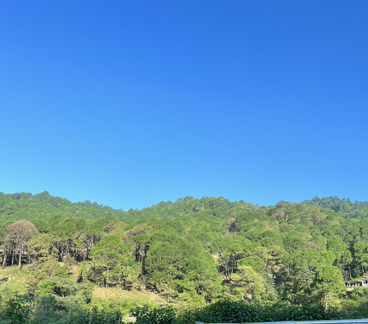 sanjayjavin's tweet photo. happy to be in mcleodganj after 32 years.the joy of seeing the blueness of the sky,smell of the pine trees ,steep winding roads through the jungles and the feel of fresh scented cold air against the face is unparalleled.#HimachalPradesh #himalayanday https://t.co/H3kaVrqBMz