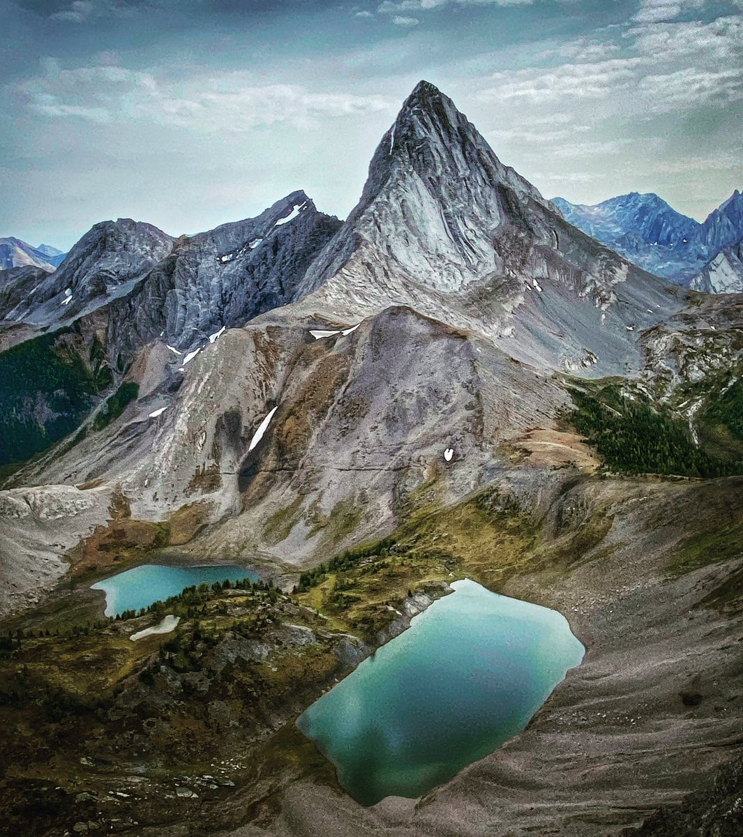 Mr. Erickson tweet media