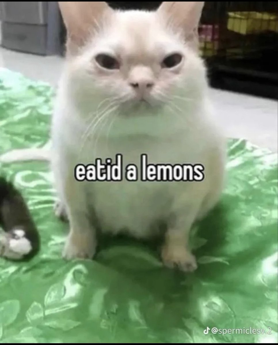 Me rolling into your local #rcq 
#magicthegathering