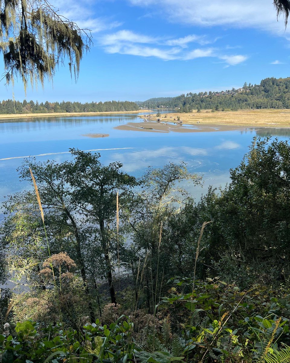 Guardian71Blue's tweet photo. Beautiful hike at Nestucca Bay National Wildlife Refuge today. Frogs, snakes, jellyfish, otters, hawks, and herons. @USFWSPacific https://t.co/04PmuiwsyM