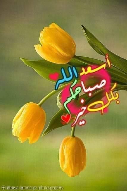 مريم علي (@mrymly47904372) on Twitter photo 