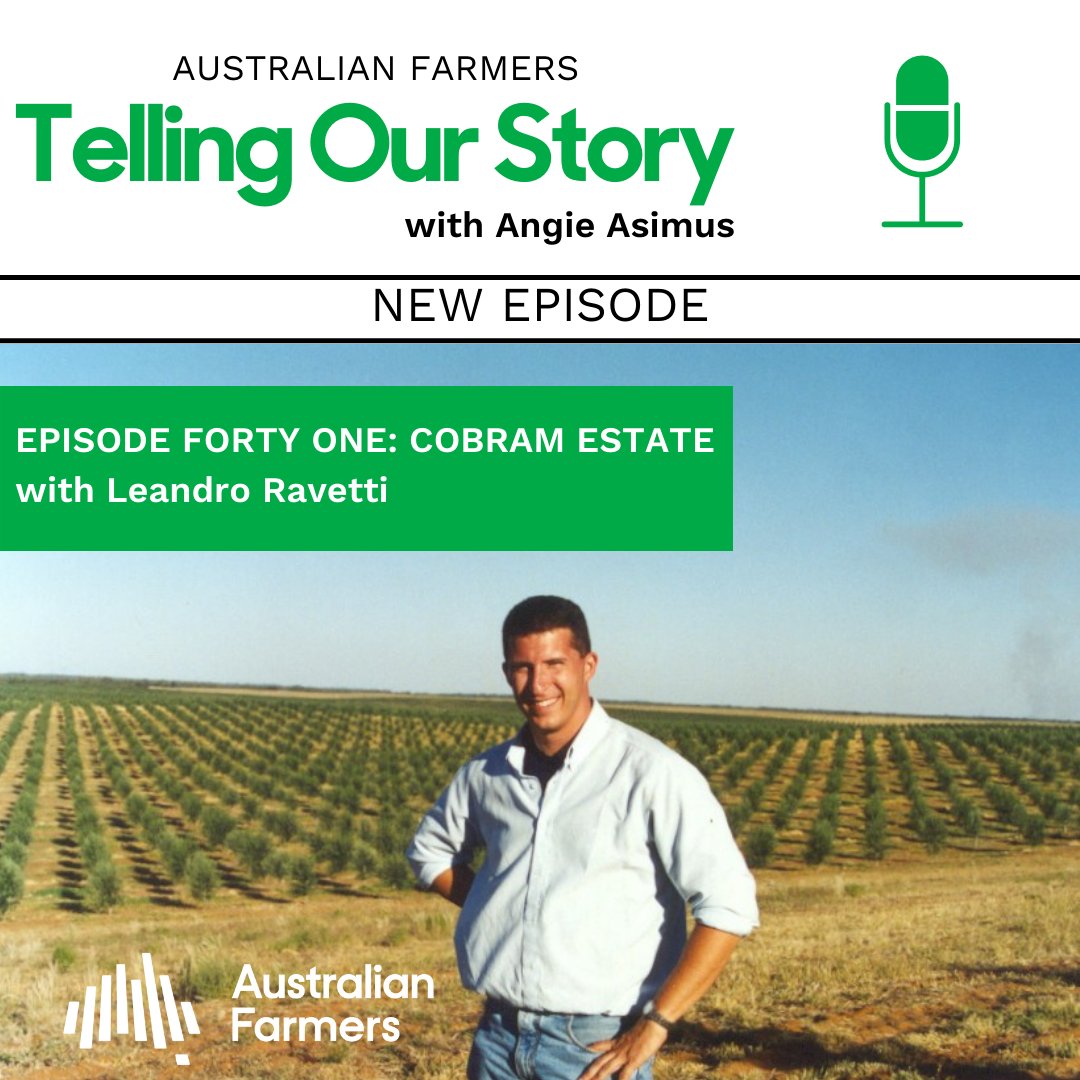 Few know the art of olive growing better than our joint-CEO, Leandro Ravetti. Tune in to this week's episode of <a href="/OzFarmers/">AustralianFarmers</a> podcast with <a href="/AngieAsimus/">Angie Asimus</a> and hear him talk about life working in olive groves in Australia and around the world buff.ly/31IV9xh