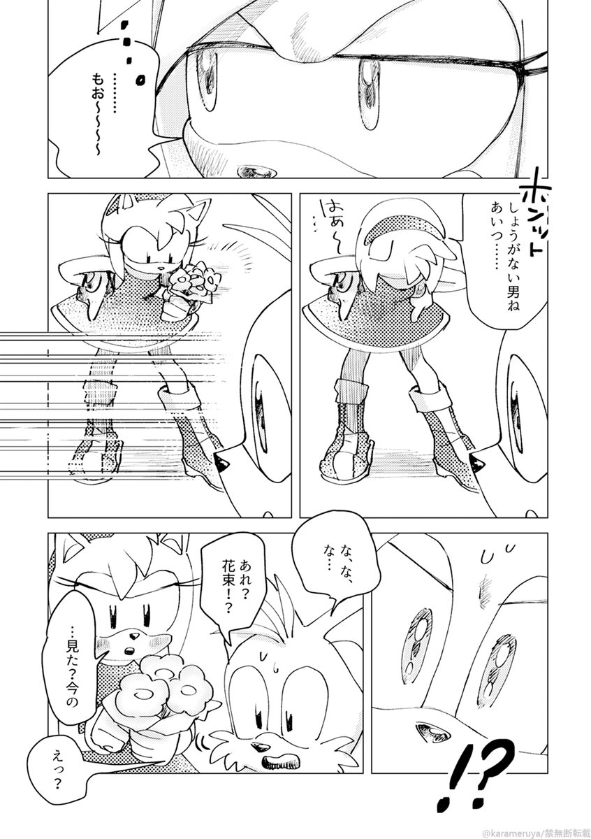 ソニエミ漫画(2/2) #SonAmy 