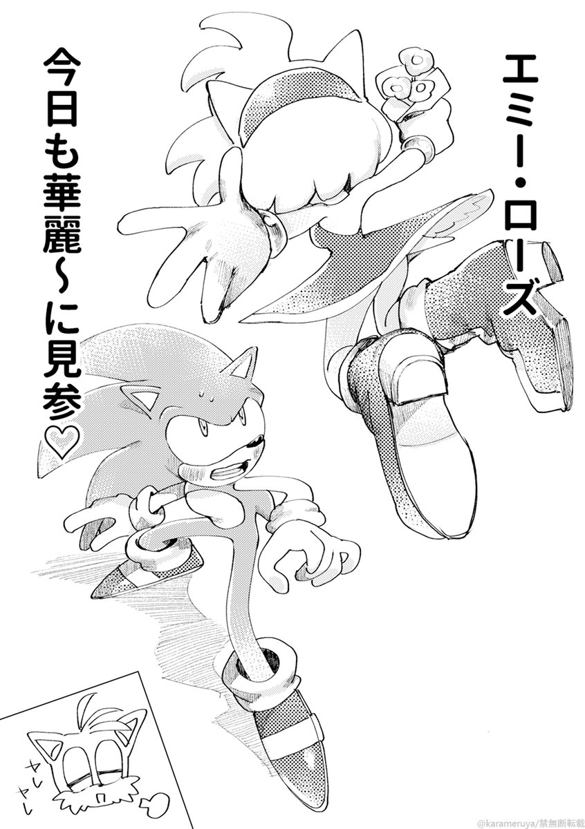 ソニエミ漫画(2/2) #SonAmy 