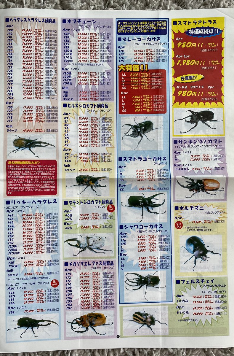 奈良オオクワセンターNEWS ほか‥ Yahoo!オークション -「奈良オオクワセンター」の落札相場・落札価格