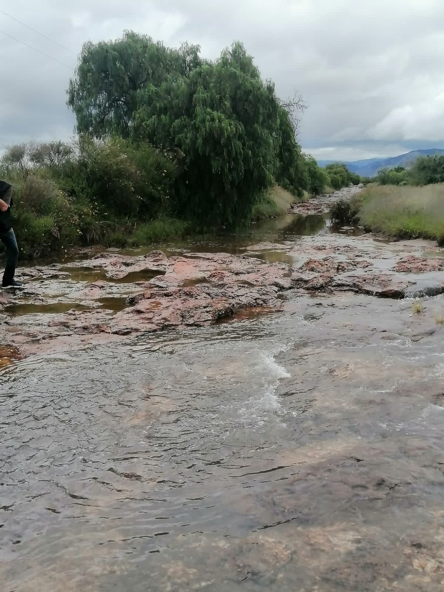 BereniceArcizo's tweet photo. "Puede haber agua por todas partes y ni una gota para beber 💦 Estanque La Lagunilla contaminado a causa de los desechos del Parque Industrial WTC Ejido La Pila S.L.P
@julioastillero @Mary_Luisa_AG @Universodelroc2 @RGC_Mx @adanmexic @lopezobrador_ https://t.co/Z0EBELBv4C