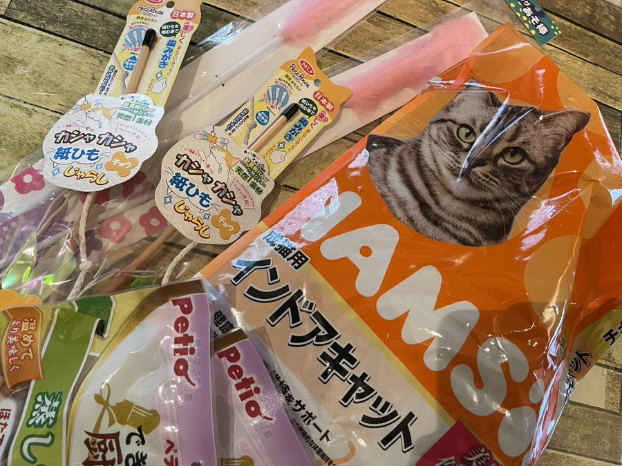 Cafe De Lechat カフェドルシャ 秋田にある猫カフェ 子猫のへや